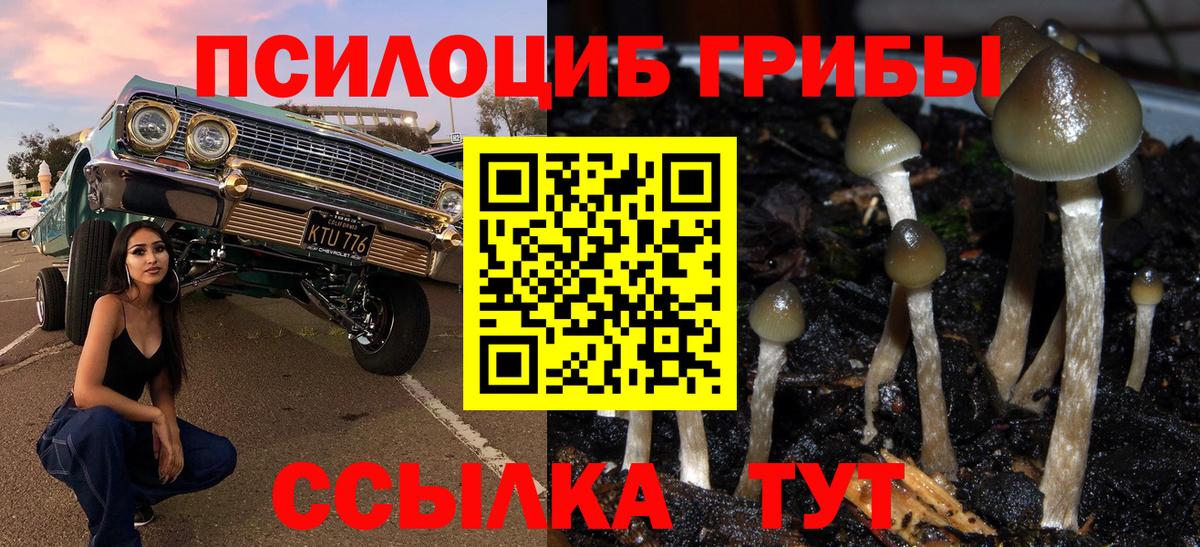 Галлюциногенные грибы прущие грибы Набережные Челны